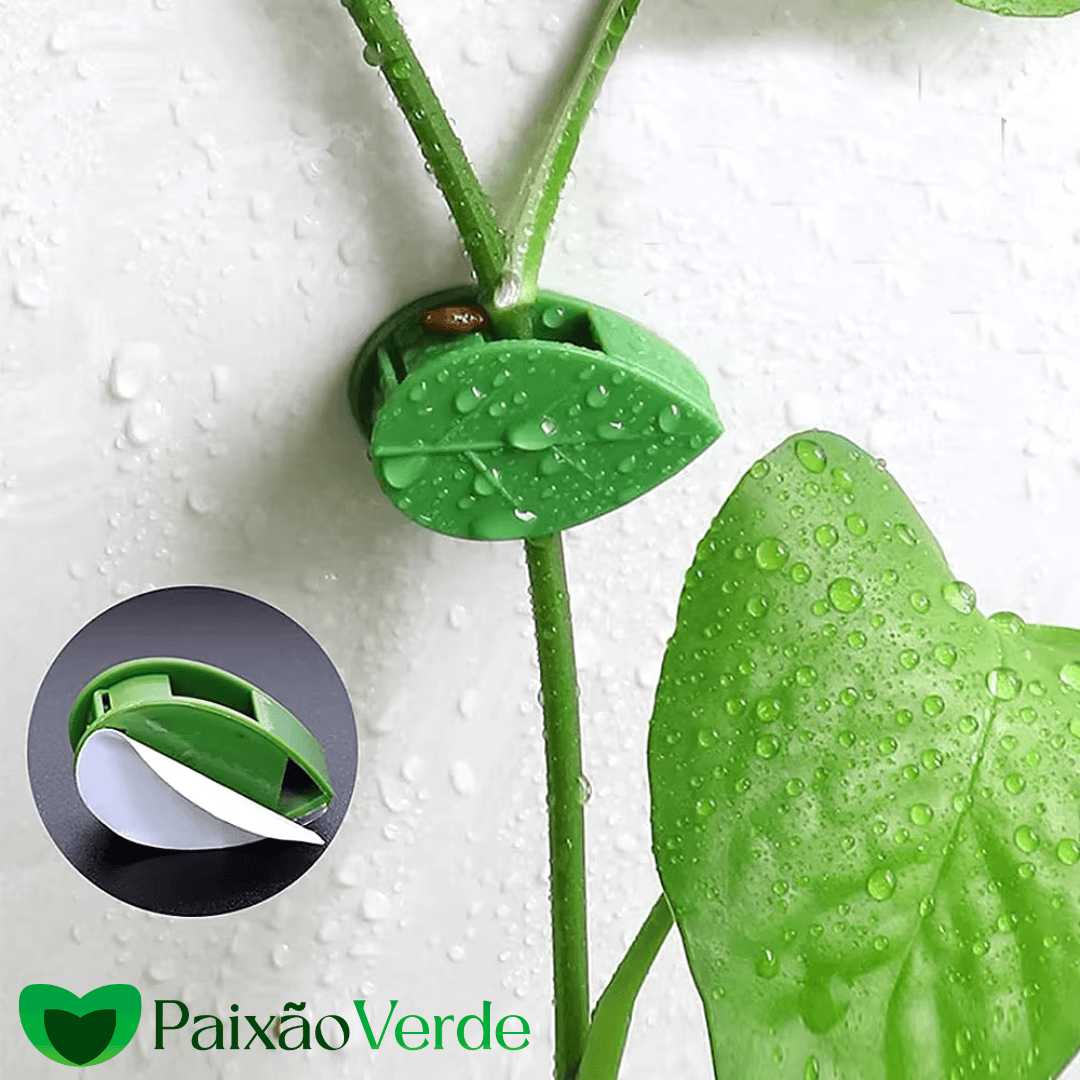 Gancho Folha Clips Adesivo para Plantas Trepadeiras