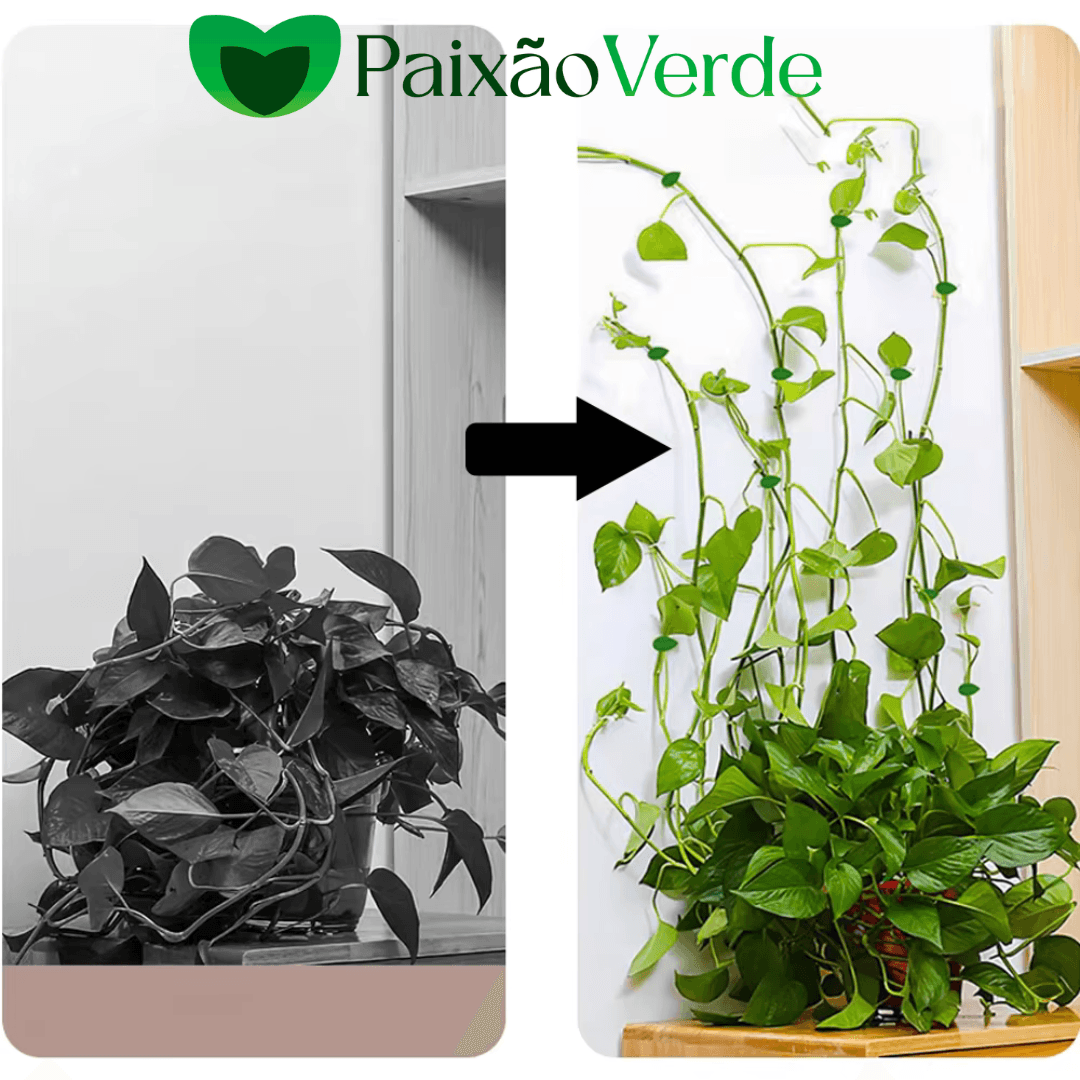 Gancho Folha Clips Adesivo para Plantas Trepadeiras
