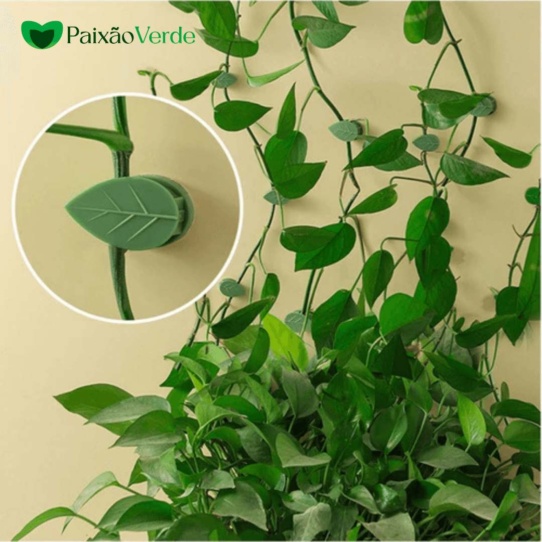 Gancho Folha Clips Adesivo para Plantas Trepadeiras