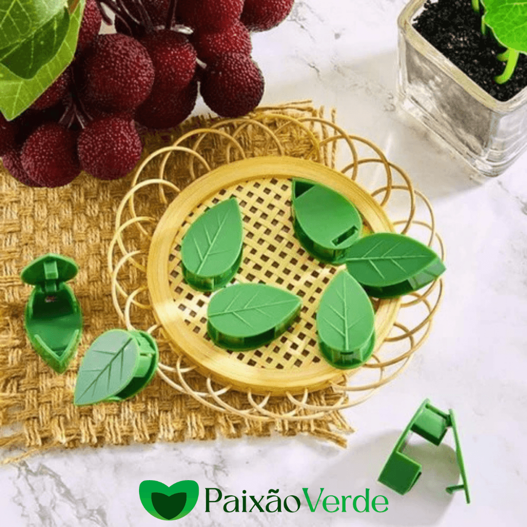 Gancho Folha Clips Adesivo para Plantas Trepadeiras