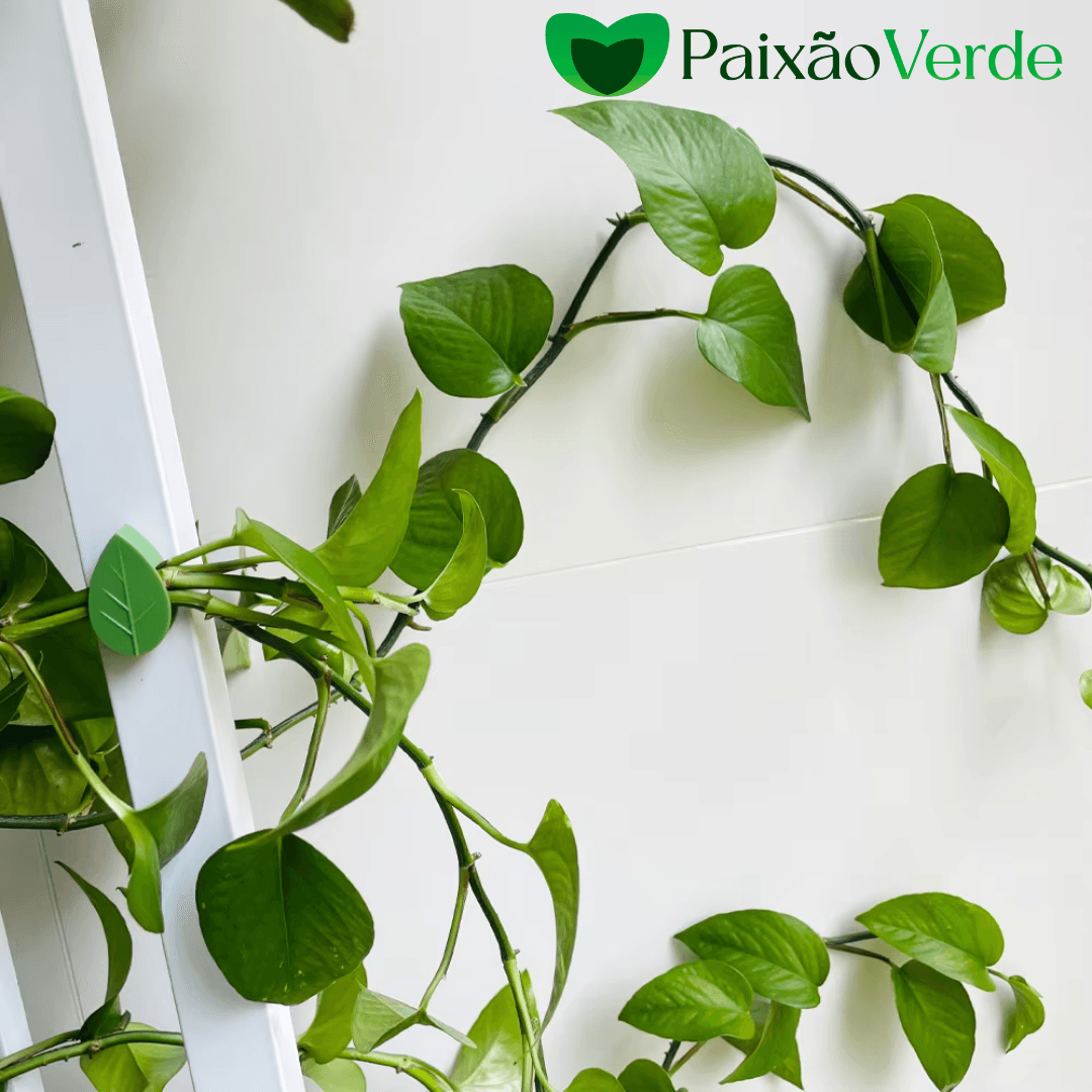 Gancho Folha Clips Adesivo para Plantas Trepadeiras