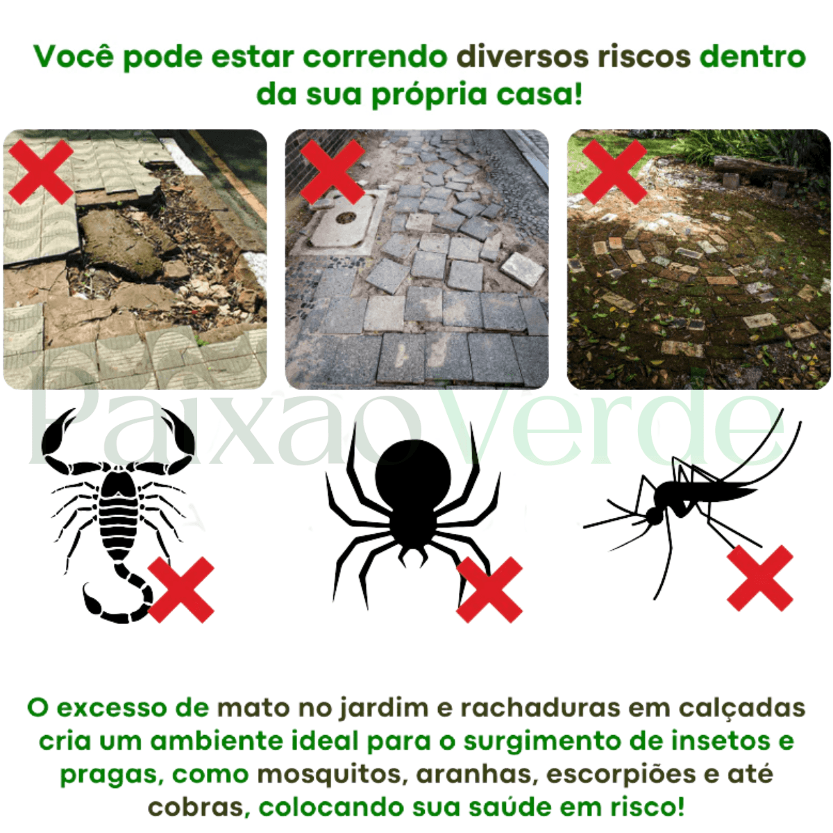 Molde para piso de concreto Gramier™