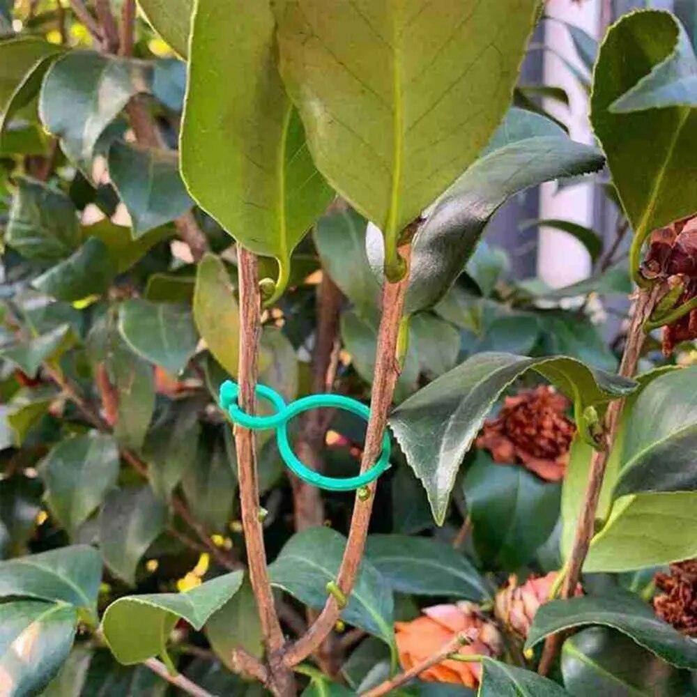 Suportes Clipes De Cintas Para Plantas - Plant Holder