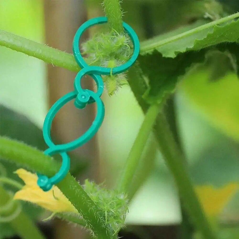 Suportes Clipes De Cintas Para Plantas - Plant Holder