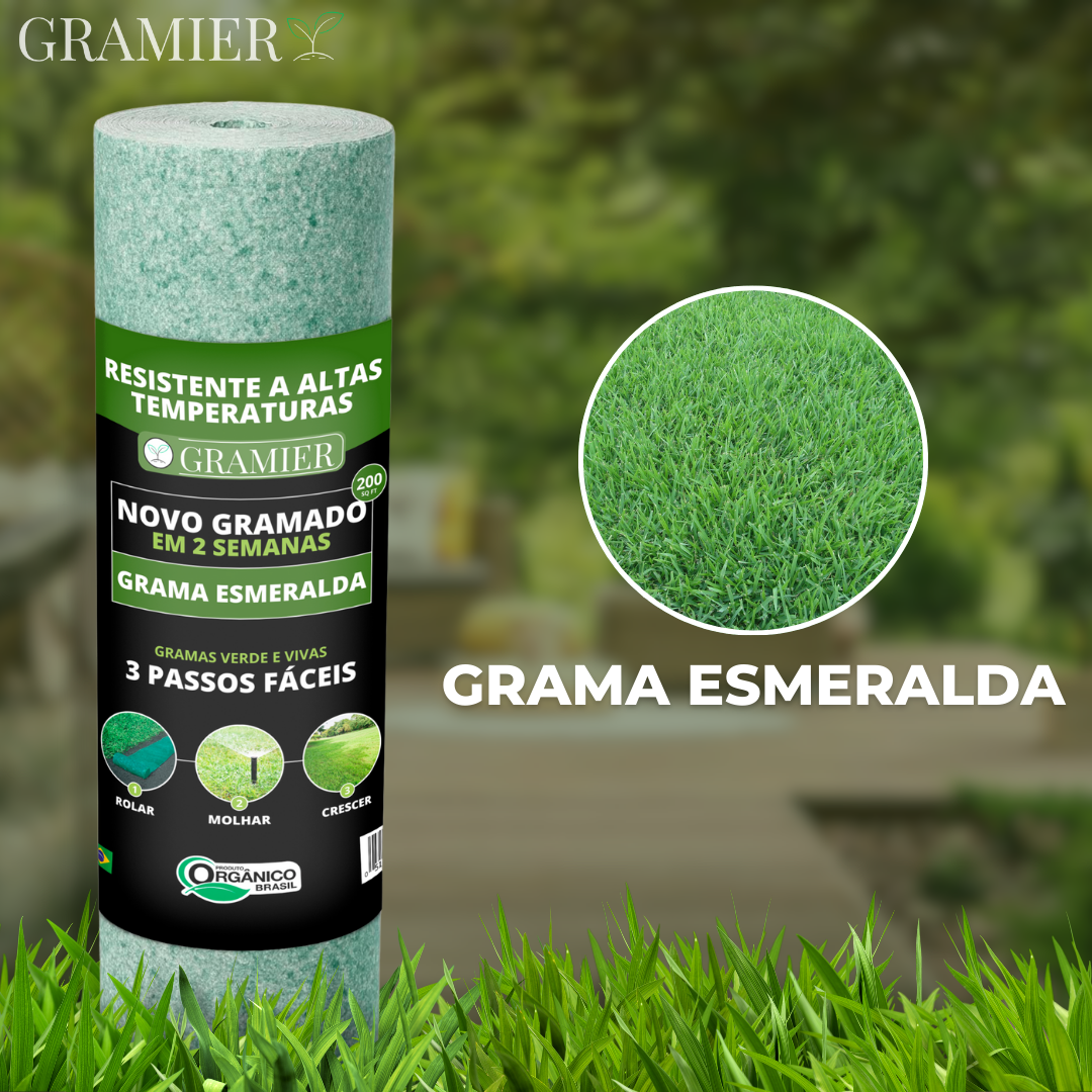 [Oferta Dia das Mães] Rolo de grama biodegradável Gramier®