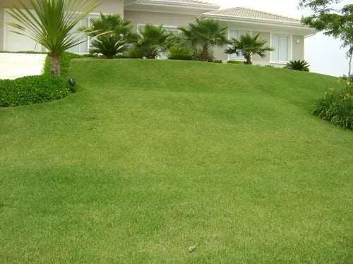 Fertilizante Grama Gramier 1l Rende 200 Litros