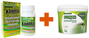 Gramier Kapina - Herbicida para Eliminar Tiririca e Plantas Indesejadas