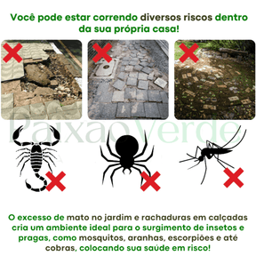 Molde para piso de concreto Gramier™