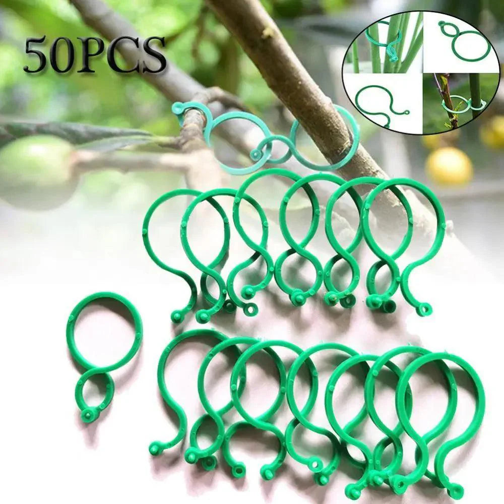 Suportes Clipes De Cintas Para Plantas  - Plant Holder