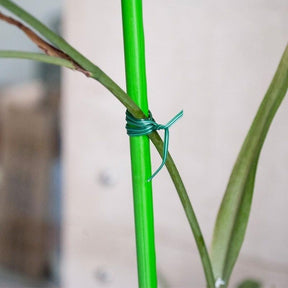 Rolo 50 metros De Ligação Para suportes de Plantas multifuncional Ecológico - PlantMed™ (Compre 1, Leve 2)