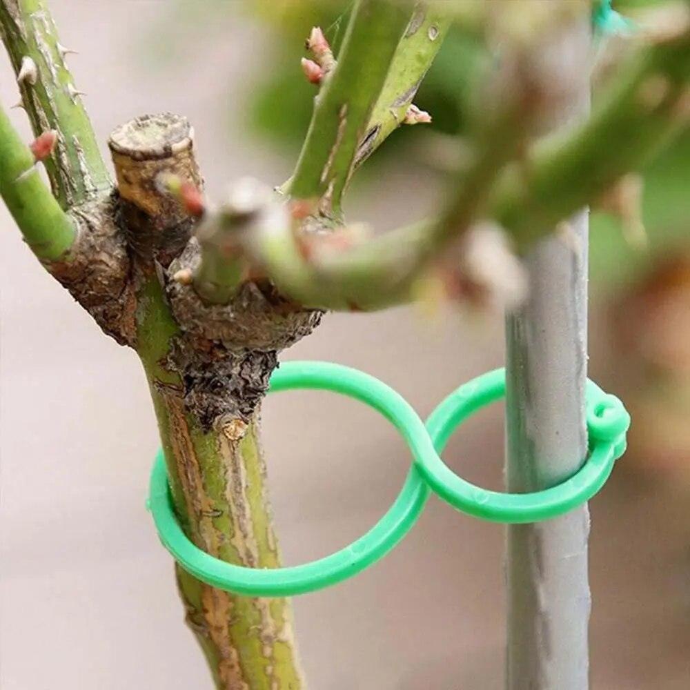 Suportes Clipes De Cintas Para Plantas  - Plant Holder