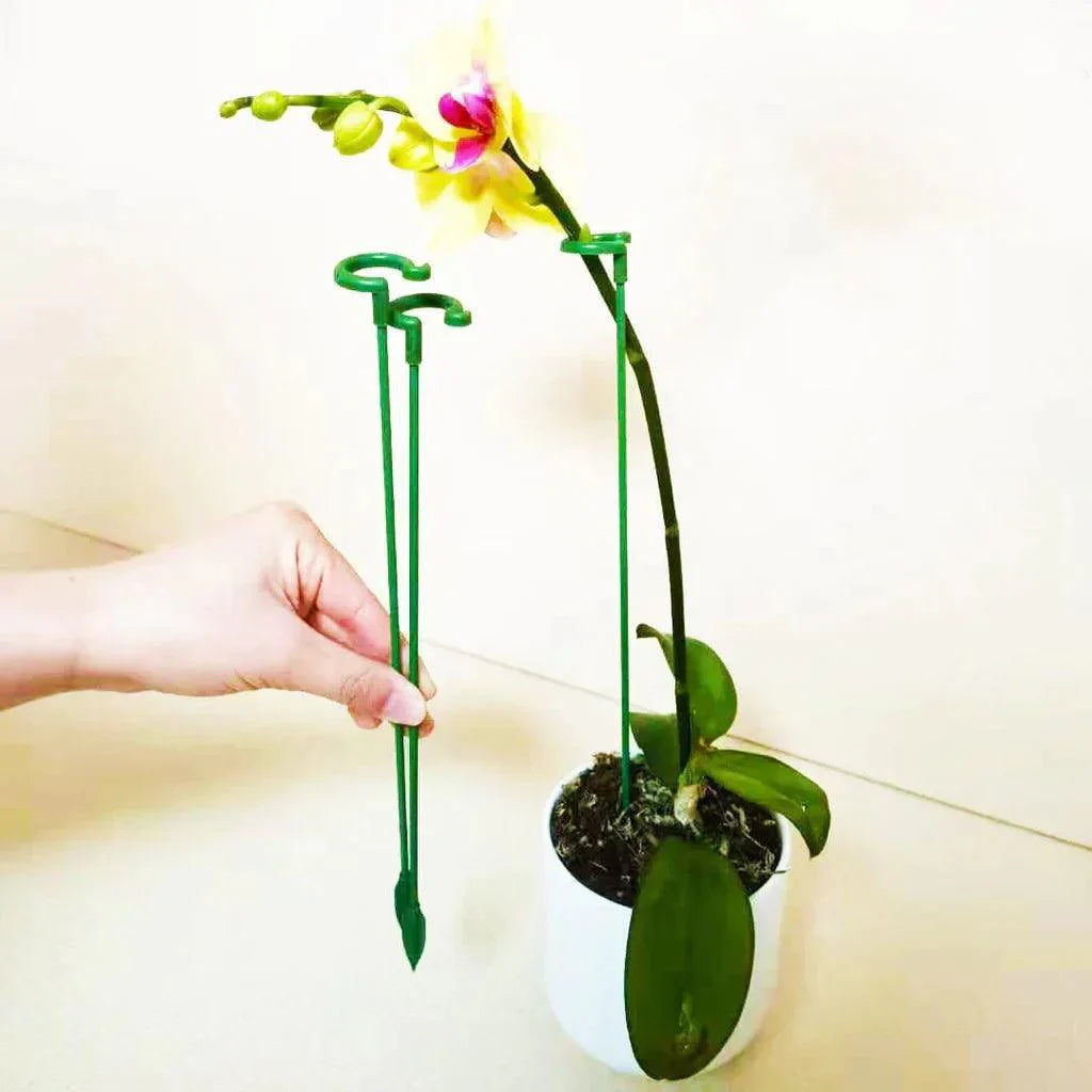 Suportes PlantLife™ - Suas Plantas Mais Grandiosas e Vivas