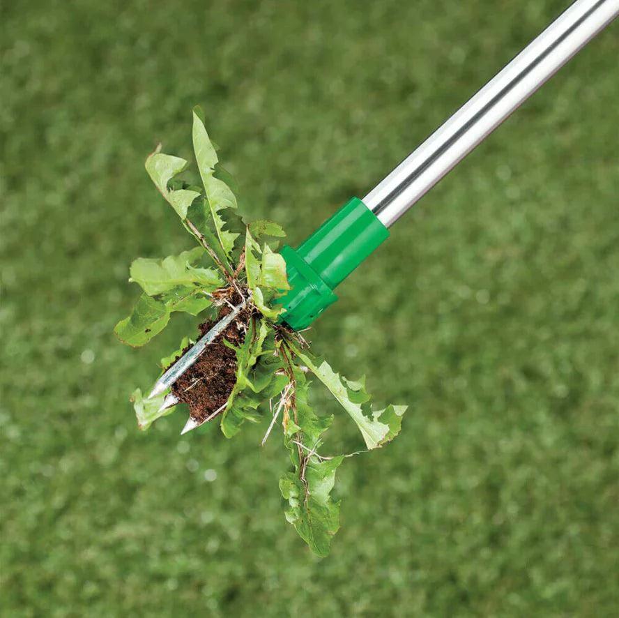 Removedor De Ervas Daninhas Premium - PlantNinha™