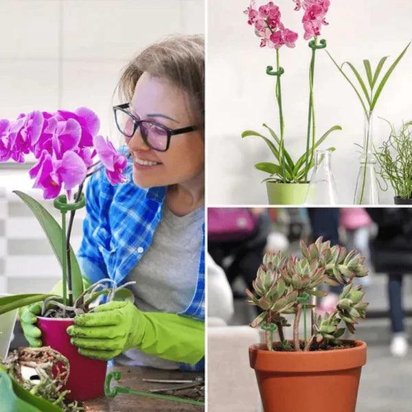 Suportes PlantLife™ - Suas Plantas Mais Grandiosas e Vivas